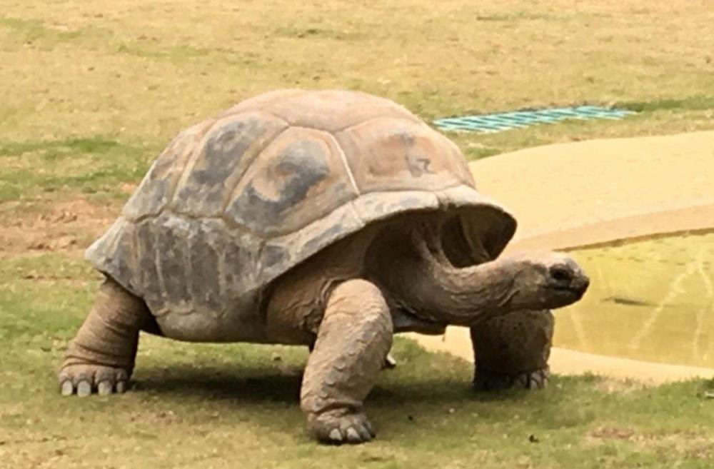 机械硬盘寿命有多长（固态硬盘选择的三大误区）