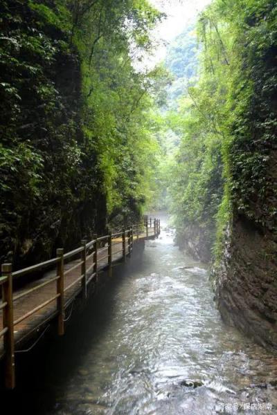 湖南张家界游玩必去的几个地方景点介绍(湖南张家界有哪些景点)