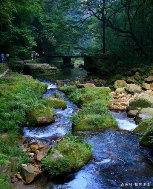 湖南张家界游玩必去的几个地方景点介绍(湖南张家界有哪些景点)