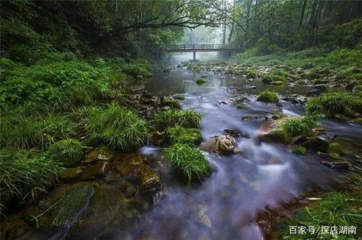 湖南张家界游玩必去的几个地方景点介绍(湖南张家界有哪些景点)