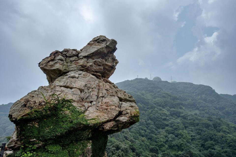 一日游最佳路线自驾游(连云港旅游攻略必玩的景点)