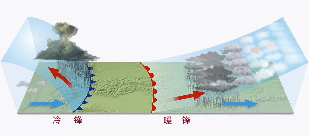 梅雨季节是什么时候(梅雨时节的梅)