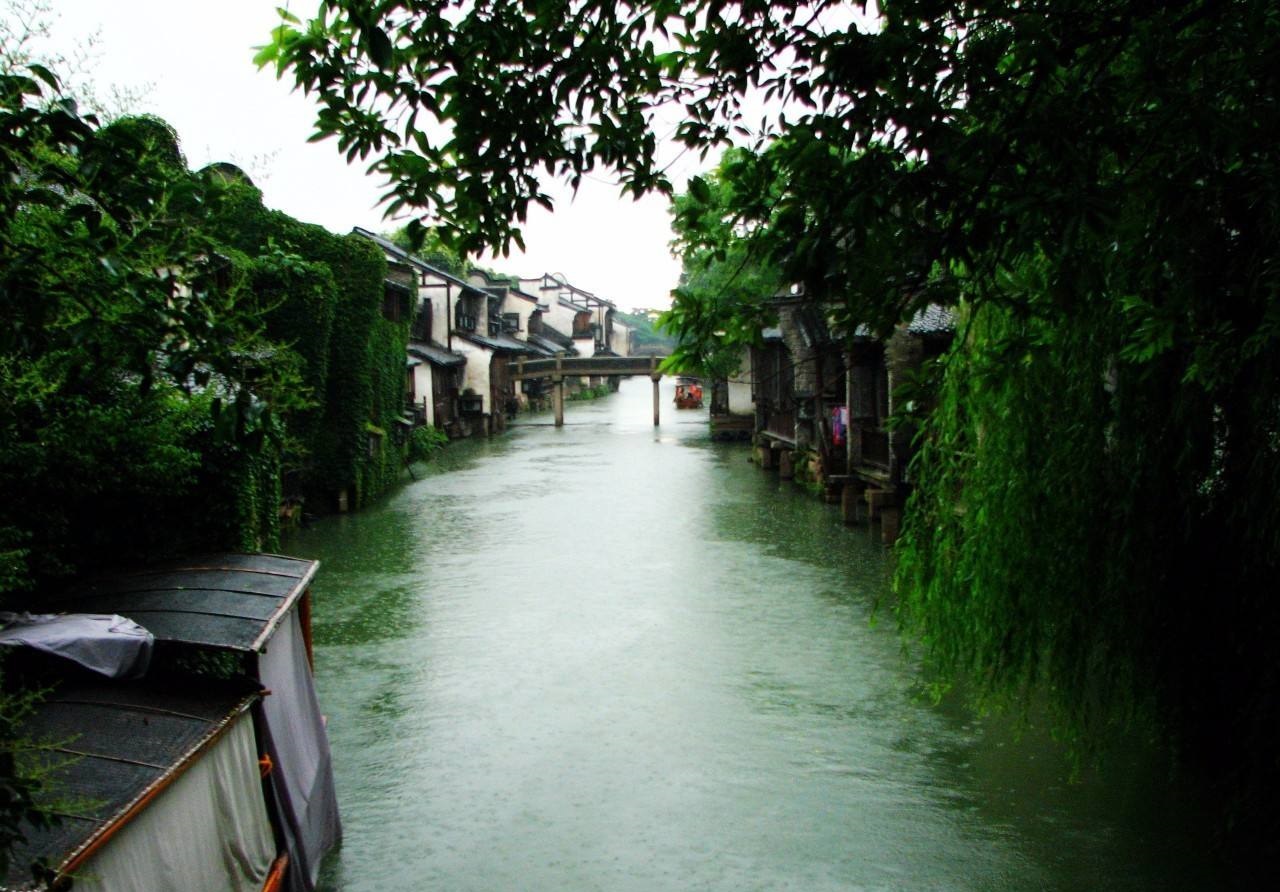 梅雨季节是什么时候(梅雨时节的梅)