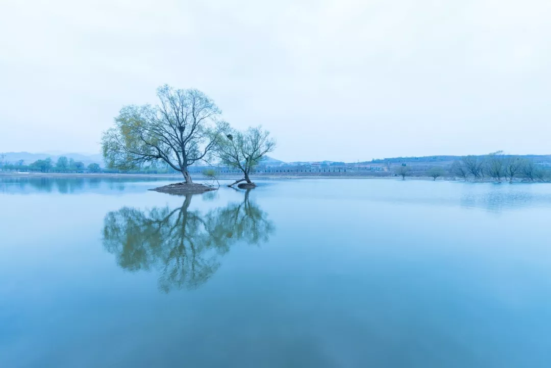 殚精竭虑什么意思(行之有效什么意思)