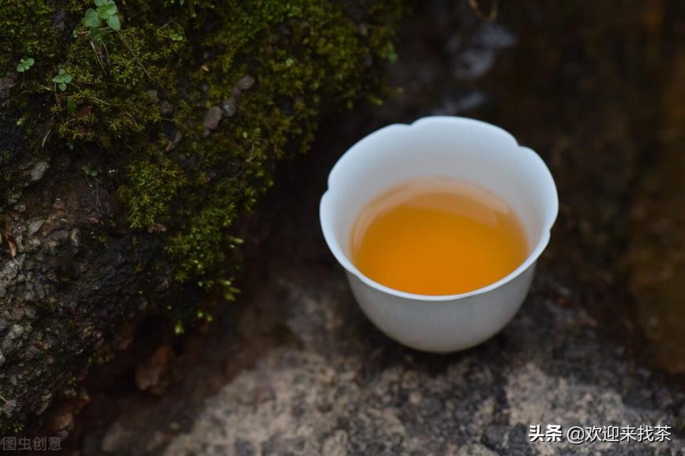 福建茶叶品牌十大名茶(福建茶叶品牌排行榜前10名)