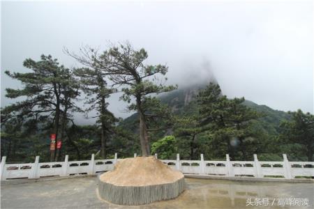 九嶷山三分石海拔多少米(九嶷山三分石)