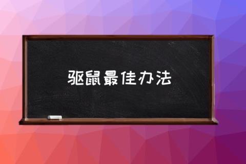 驱鼠最佳办法,电子驱鼠器真有用吗？