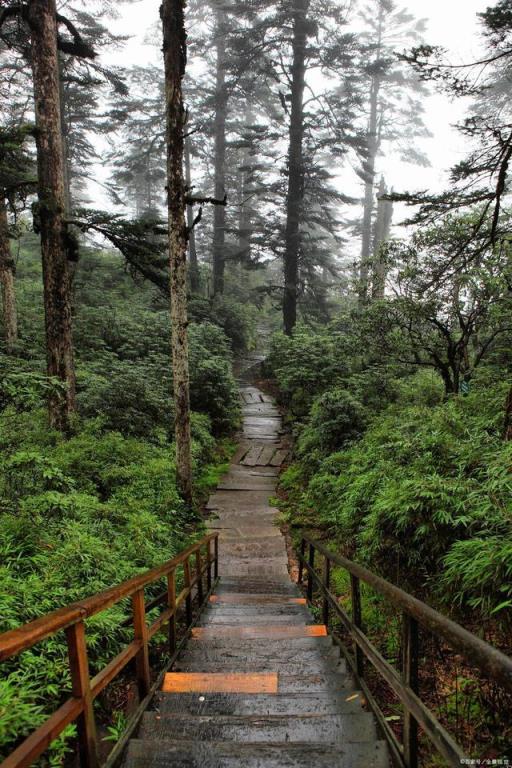 成都自驾瓦屋山旅游攻略(成都周边二日游自驾游瓦屋山)