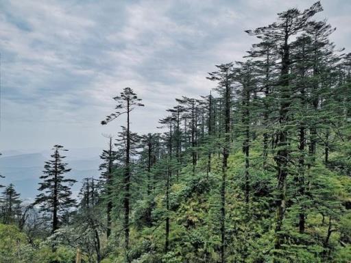 成都自驾瓦屋山旅游攻略(成都周边二日游自驾游瓦屋山)