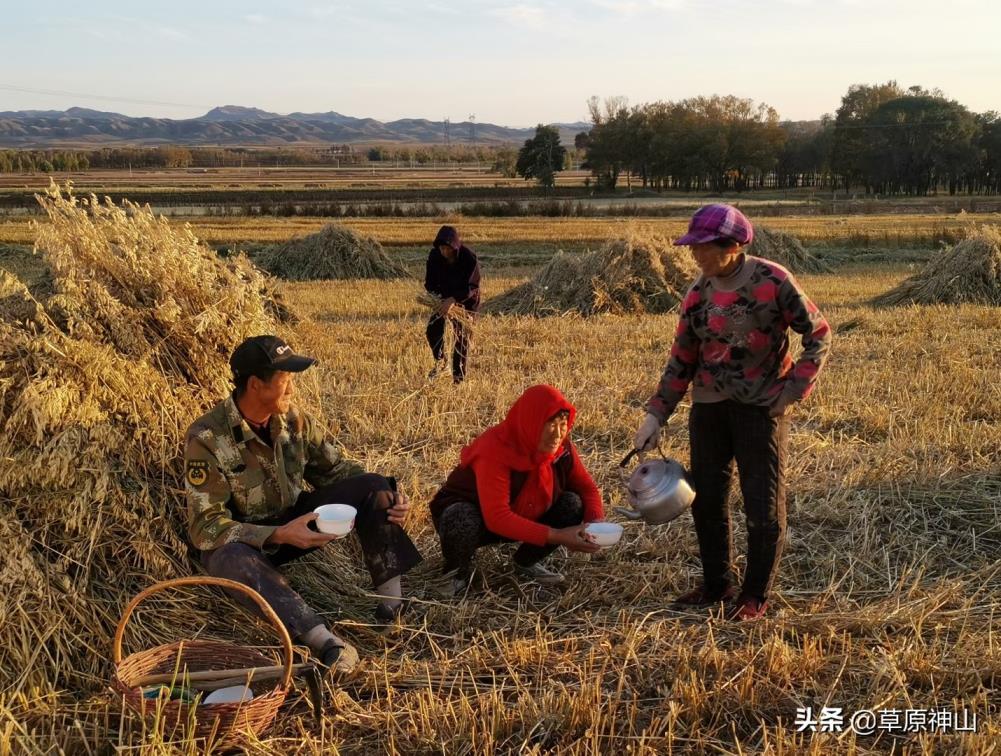 飨的读音和意思飨的出处及造句