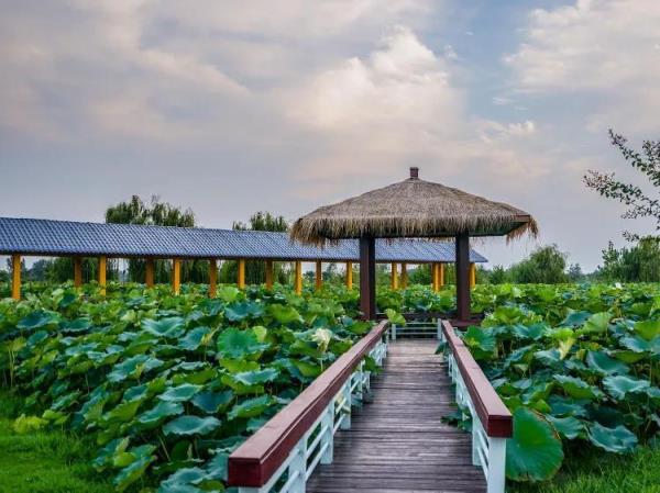 淮安旅游15个风景如画的地方(淮安一日游必去景点)