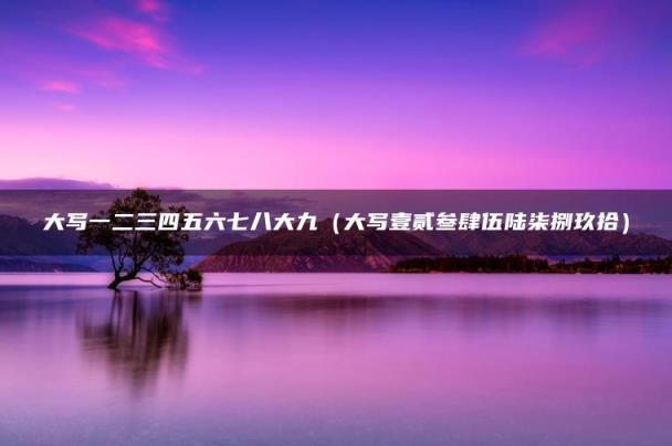 大写一二三四五六七八大九（大写壹贰叁肆伍陆柒捌玖拾）