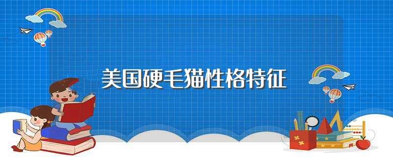 美国硬毛猫性格特征(美国硬毛猫性格特征介绍)