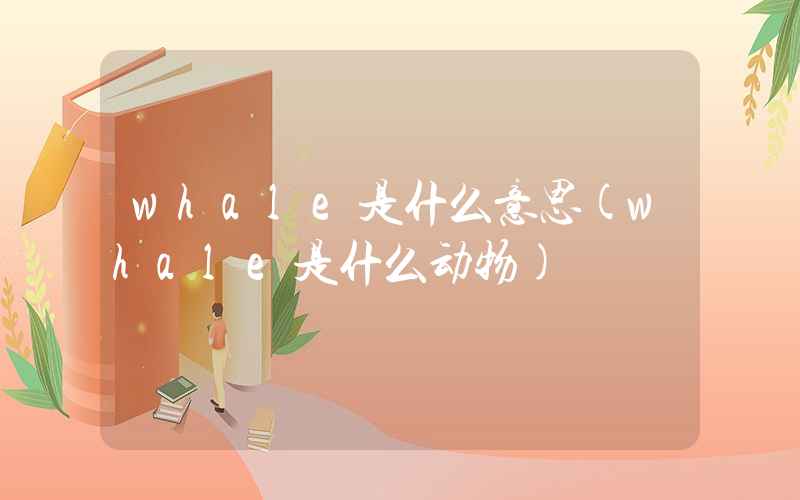 whale是什么意思(whale是什么动物)