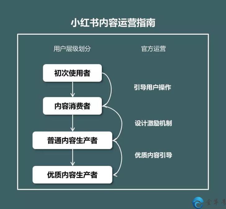 小红书在线官网首页如何运营？(小红书在线官网首页)