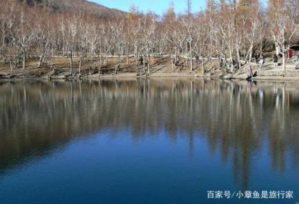 长白山天池位于长白山主峰(长白山天池属于什么火山)