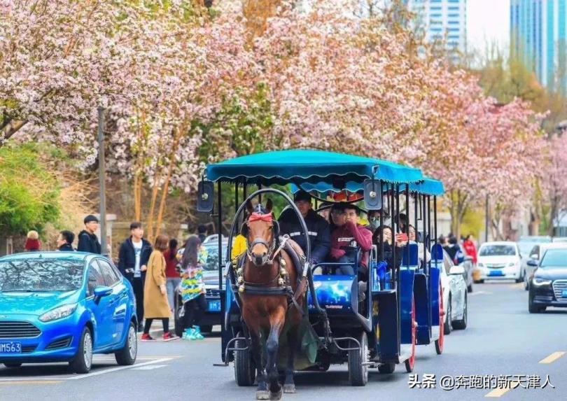 天津旅游攻略小红书(天津旅游攻略)