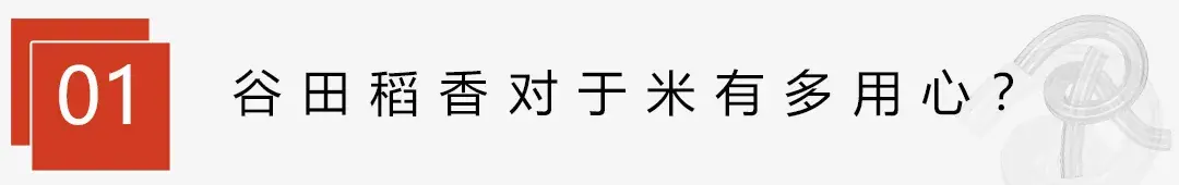 谷田稻香加盟怎么样吗（谷田稻香瓦锅饭加盟条件）