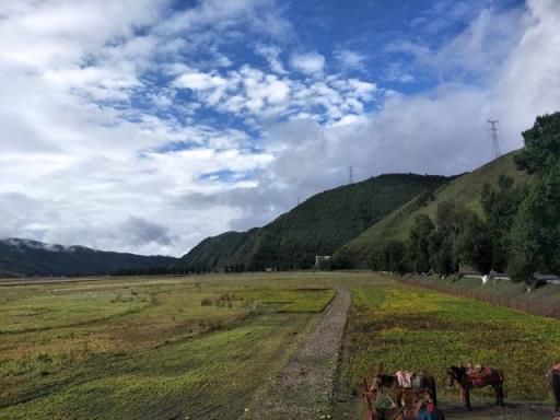 成都到西昌最美的公路(成都到西昌自驾游沿途风景区)