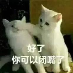 何猷君怎么读音身高(何猷君怎么读)