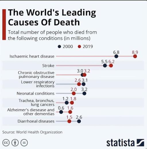 蜘蛛图片恐怖到吓死人简笔画(蜘蛛图片恐怖到吓死人有毒)