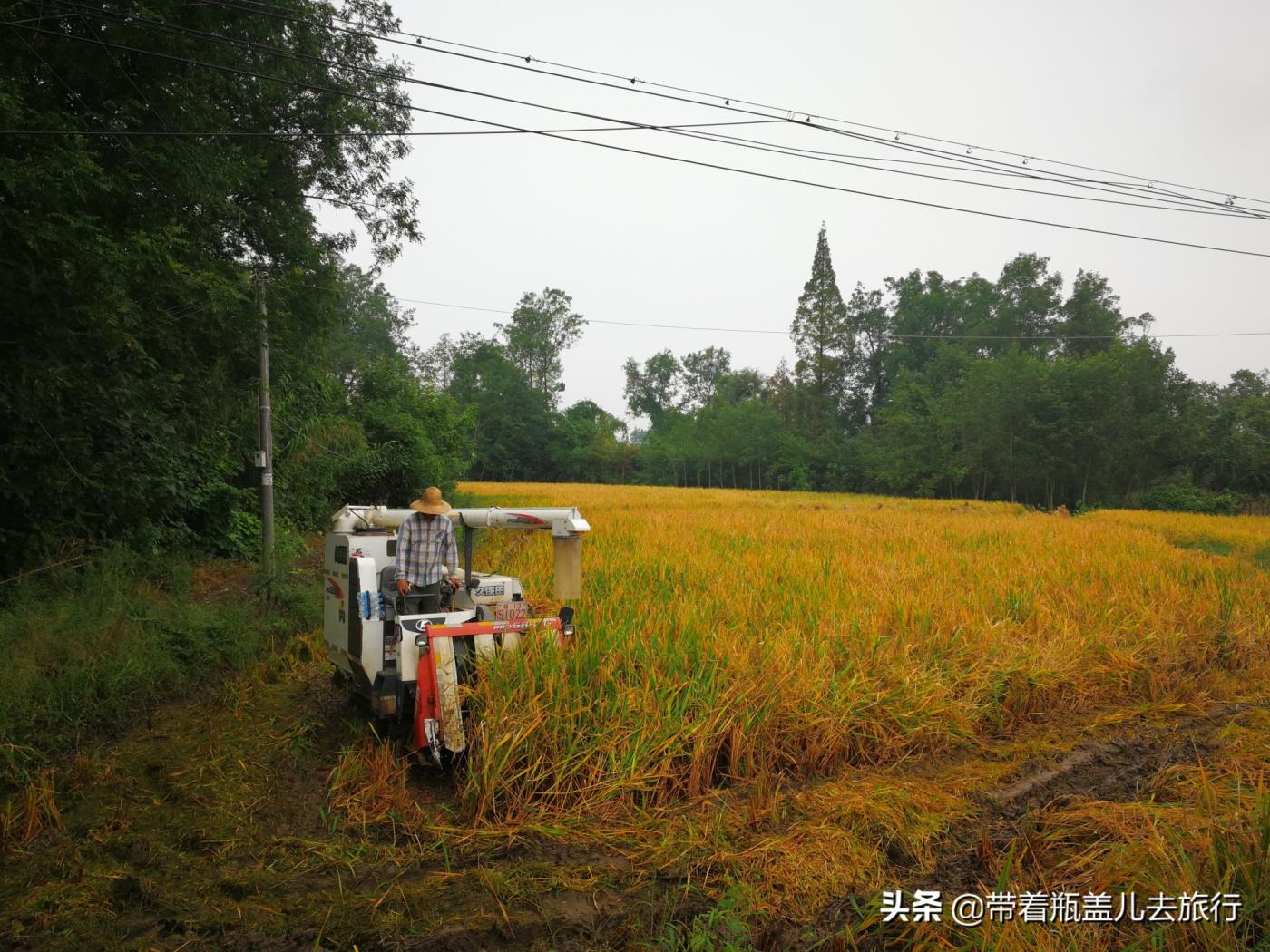 雅安在哪个方向(雅安在哪)