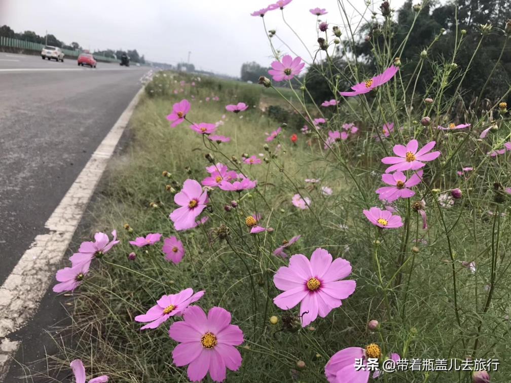 雅安在哪个方向(雅安在哪)