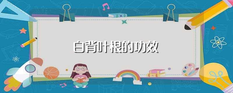 白背叶根的功效(白背叶根有什么功效)