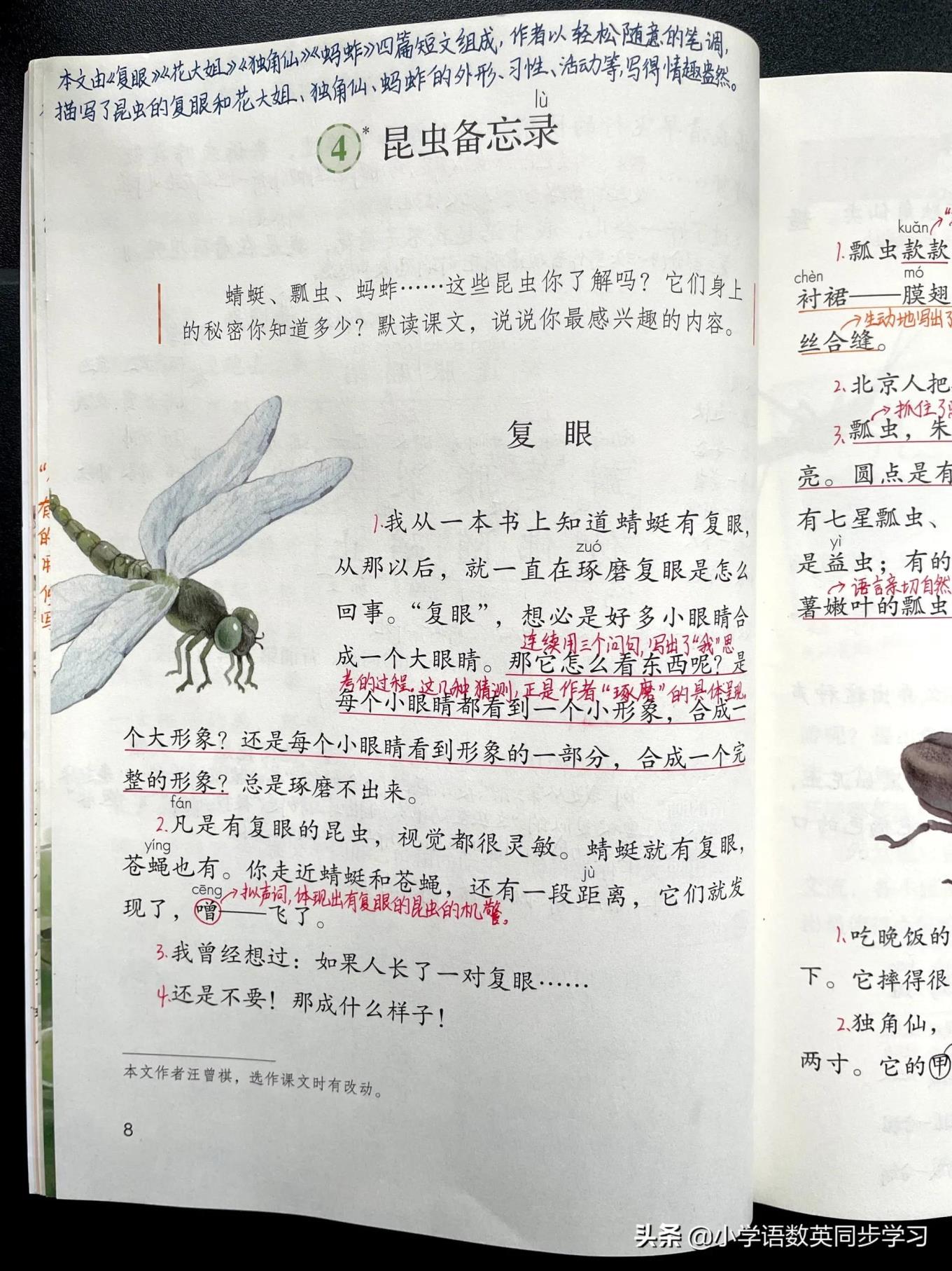 蚂的多音字组词语蚂的多音字组词有哪些