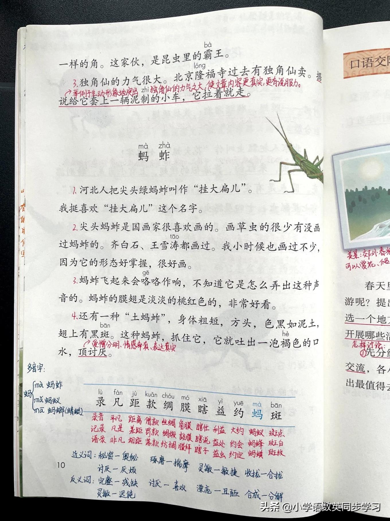 蚂的多音字组词语蚂的多音字组词有哪些