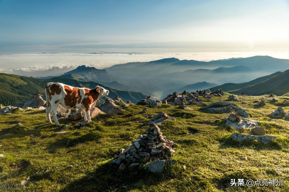 中国名山排名前十(中国最有名的十大名山)