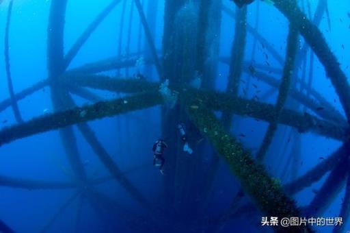 超级恐怖的图片吓死人(超级恐怖图片吓死人僵尸)