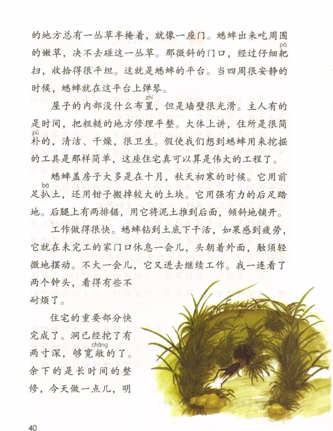 扒组词多音字(扒组词)