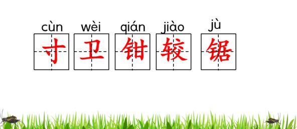 扒组词多音字(扒组词)