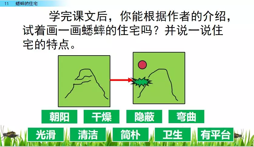 扒组词多音字(扒组词)