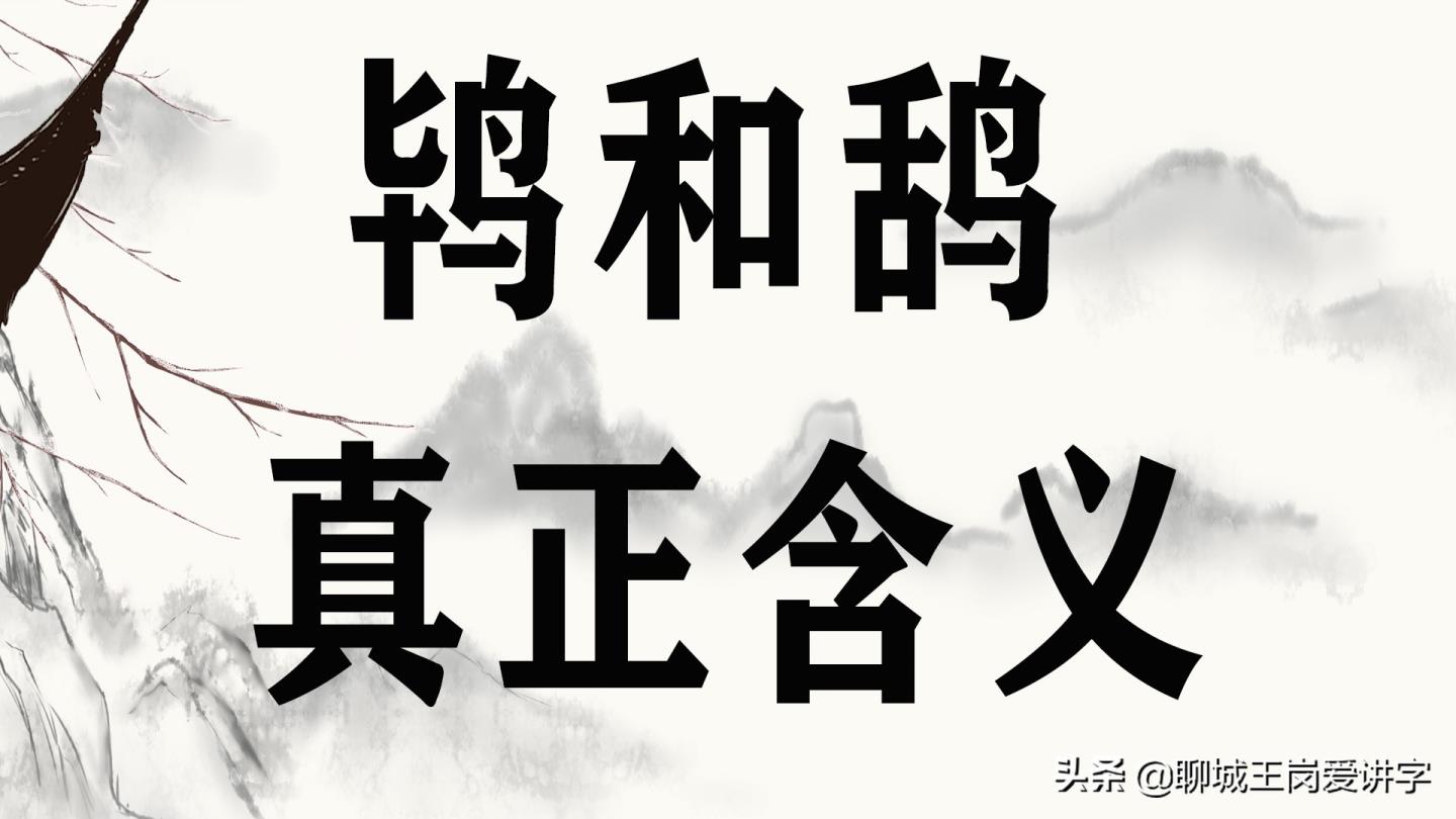 乌鸦反哺这个说法是什么意思?(乌鸦反哺的意思)