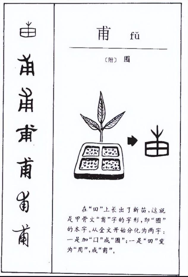 杜甫是念fu还是念pu(甫怎么读什么意思)