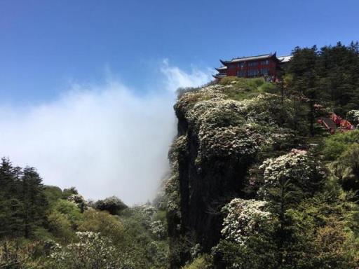 成都周边一日游最佳景点推荐自驾游(成都周边游景点大全自驾车旅游一日游)