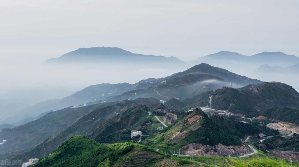 最贵的茶叶排行榜(中国最贵的茶叶前十名)