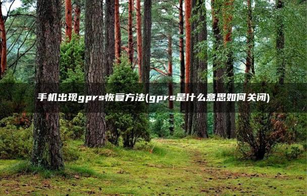 gprs是什么意思如何关闭(手机出现gprs恢复方法)