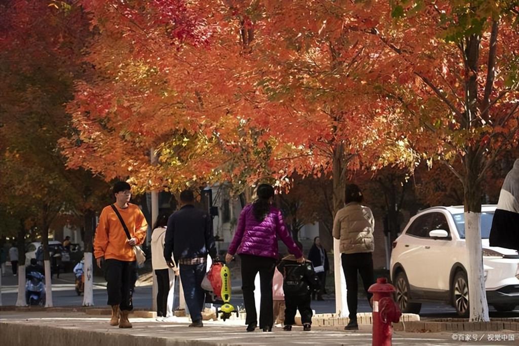 湖北省大学排名一览表2022（湖北最好的十五所大学）