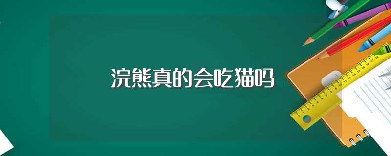 浣熊真的会吃猫吗(别被萌萌的外表骗了)