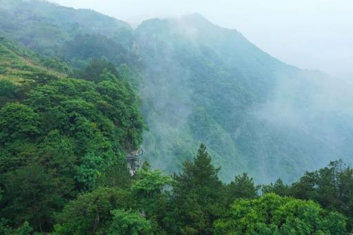 暑假浙江宁波值得去的旅游景点推荐(宁波暑假旅游好去处)