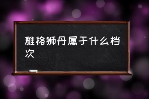 雅格狮丹属于什么档次,雅格斯丹这个品牌怎么样？