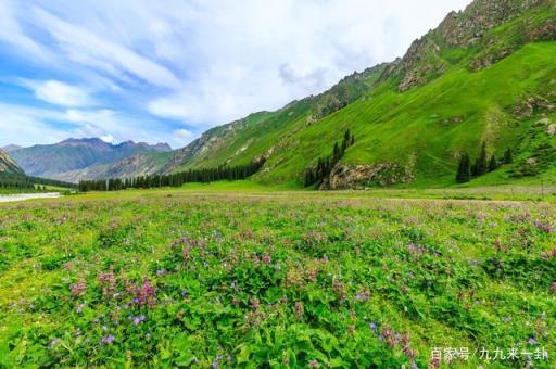 伊犁地区九大草原是哪些(你好生活新疆伊犁哪个草原)