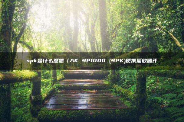 SPK(spk是什么意思（AK SP1000 )便携播放器评