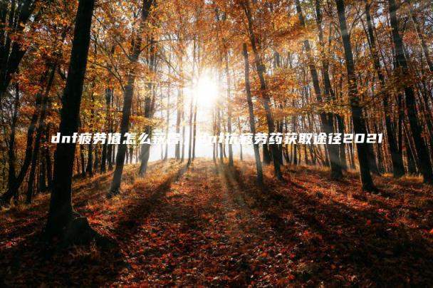 dnf疲劳值怎么获得(dnf抗疲劳药获取途径2021)