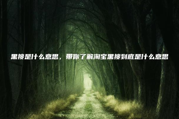 黑搜是什么意思(带你了解淘宝黑搜到底是什么意思)