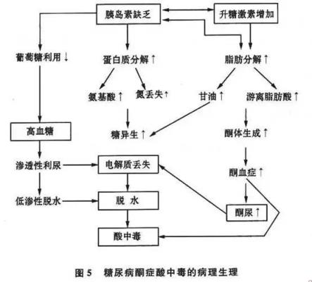 人的身体为什么会自燃是真的吗(人体自燃真的存在吗)