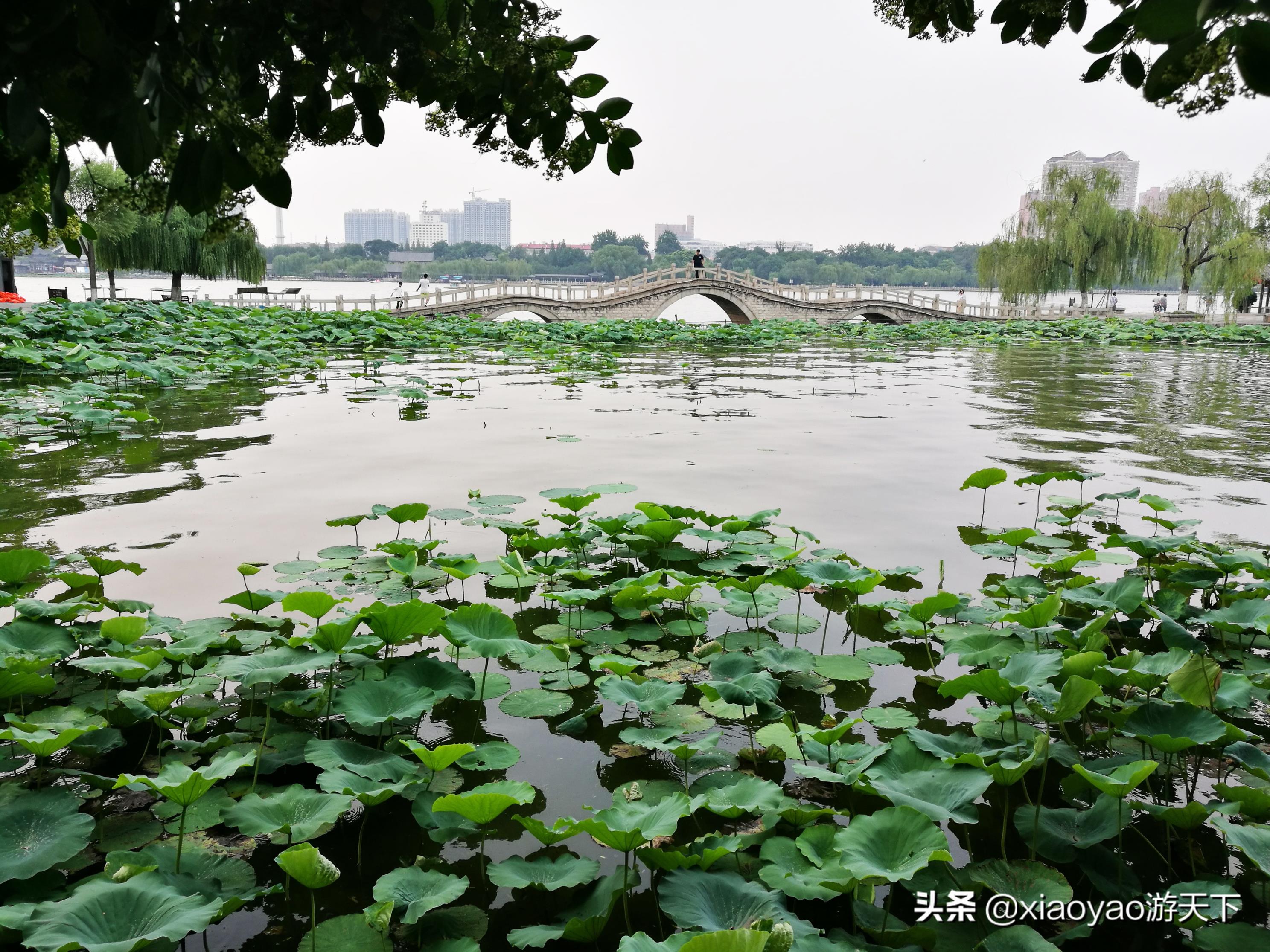 泉城是哪里的简称(泉城是哪里)